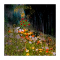 숲에 꽃을그리다