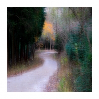 가을이 가는 길목에서