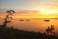 안녕하세요.드립니다.