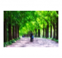 사랑은 길에서도 계속되고