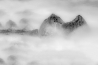 산으로 간 해신당