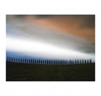 사이프러의 합창