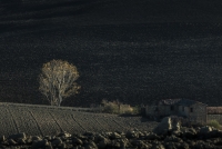 년말 잘 보네시구, 새해 복많이 받으세요.