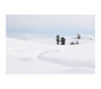 그대에게 가는 길