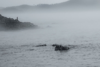 소소한 우리 풍경들