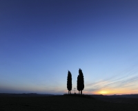 토스카나 풍경들