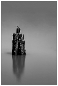 살아 있다는 것은