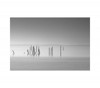 바다위의 음표들