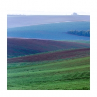 봄이 오는소리2