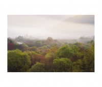 가을 색을 입다