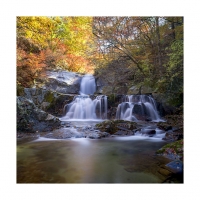 가을이 오는소리