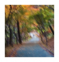가을을 걷다