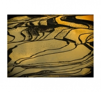 다락논의 태극 마크