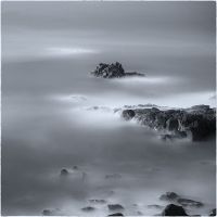 파도가 만든 고요