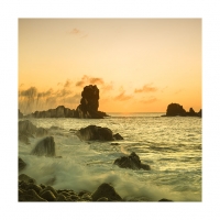 섭지코지의  여명