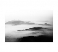 안개 강물처럼 흐르고