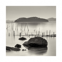 그리움 물결속에 흘러보내고