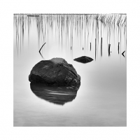 밀려오는 그리움 시간속에 밀어 넣는다