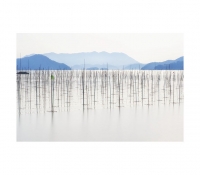 매생이 양식장의 오후