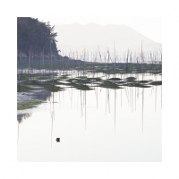 매생이밭의 아침