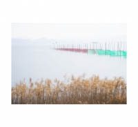 그래도 봄은오고