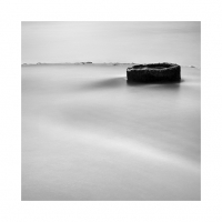 물속에 물만있는것이 아니다