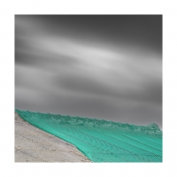 그물로 바람을 잡다