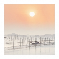 매생이 양식장의 아침