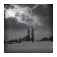 그리운것은 그리운대로