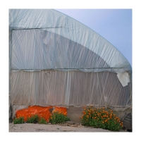 비닐하우스의 봄